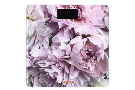 ARDESTO Ваги підлогові PEONIES, 150кг, 2хААА в комплекті, скло, різнокольорові