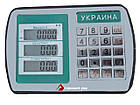 Платформні ваги 1000 кг (960х1000 мм) від Горизонт, наїзні низькопрофільні, з вбудованими пандусами, фото 5