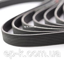 Пас поліклиновий 6РК CONTITECH, фото 4