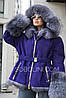 Куртка в фіолетовому кольорі оксамит, з хутром Блюфрост під пояс, фото 8
