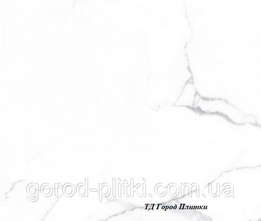 Плитка 60х60 - керамограніт Alcora Grey F P 600x600x8 R Full Lappato 1