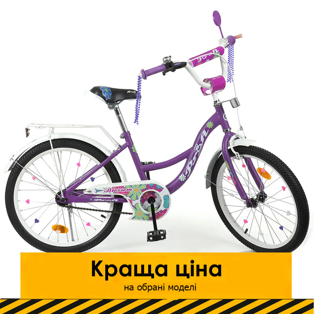 Велосипед двоколісний дитячий 20 дюймів (багажник, дзвіночок, складання 45%) Profi Y20303N Blossom Фіолетовий