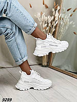 Кросівки жіночі Матеріал взуттєвий текстиль + еко шкіра Колір білий На шнурівці
