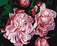 Картина за номерами Пышное цветение пионов ©Popova Josephine 40х50 Идейка (KHO3232)