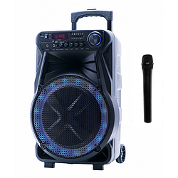 Автономна акустична система TMG ORIGINAL GT-6022 (1MIC+MP3+USB+FM+BT)