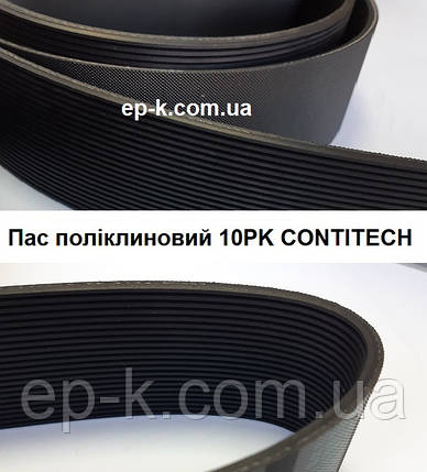Пас поліклиновий  10РК CONTITECH, фото 1