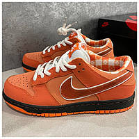 Мужские / женские кроссовки Nike x Concepts SB Dunk Low Orange Lobster, оранжевые кожаные найк сб данк лобстер