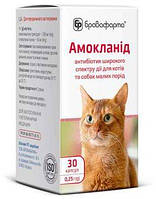 Амокланид антибиотик для лечения ЖКТ, органов дыхания и мочевыводящих путей у кошек, 30 капсул х 0,25 гр