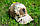 Кепка Каратель мультикам Blackhawk розмір 55-60 Ріп-Стоп, фото 5