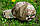 Кепка Каратель мультикам Blackhawk розмір 55-60 Ріп-Стоп, фото 6