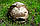 Кепка Каратель мультикам Blackhawk розмір 55-60 Ріп-Стоп, фото 8