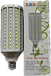 Набір студійного LED-світла Prolight 60x90 комплект на 10 ламп, фото 5