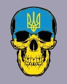 Шеврон череп желто-синий тризуб Шевроны на заказ Шеврон на липучке ВСУ (AN-12-3-2)