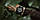 Годинник Casio GG-B100-1AER, фото 8