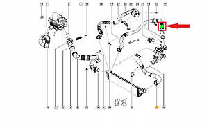 Renault (Original) 7701071316 — Ущільнювальне кільце патрубка (к турбіне) на Рено Майстер 3 (бі-турбо) FWD, фото 3