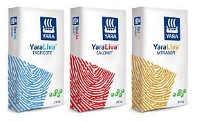  Я́ра (Yara) 