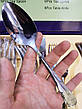 Набір столових приладів з 24 предметів Zepter ZPT-1001 набір кухонного приладдя ложки, виделки (вилки), ножі, фото 3