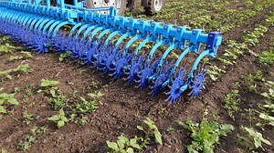 Основний розділ