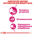 Сухий корм Royal Canin Aroma Exigent для вибагливих кішок до аромату корма, 2 КГ, фото 6
