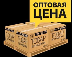 Оптові ціни Циліндр 55*250