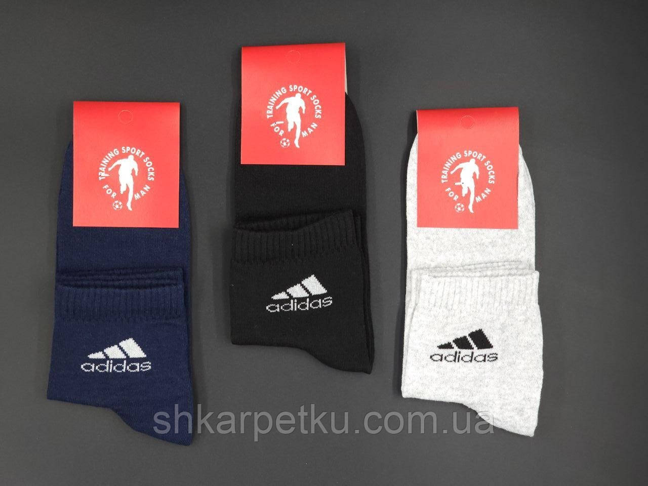 Чоловічі середні демісезонні шкарпетки бавовна  Sport Socks емблема "А" ,  40-44, 12 пар/уп. асорті