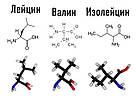 Лейцин (L-Leucine), фото 2