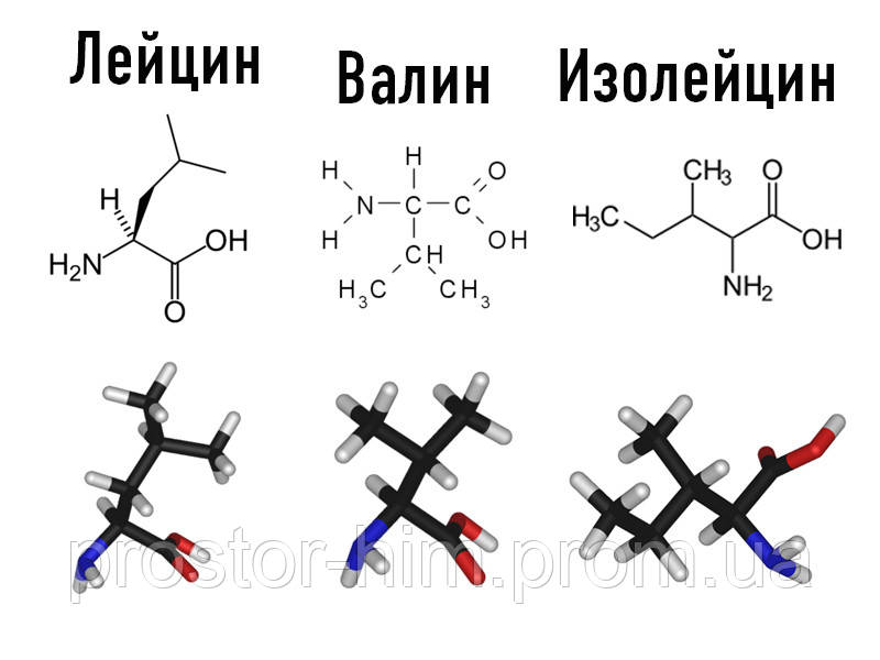 Лейцин (L-Leucine) - фото 2 - id-p315684402