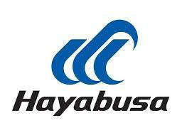 Гумові приманки Hayabusa