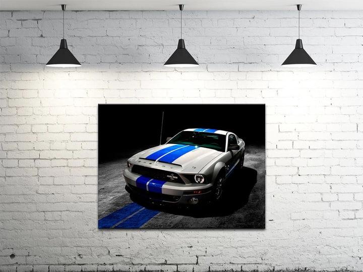Картина на полотні на стіну для інтер`єру/спальні/прихожої DK Mustang (DKP4560-M804)