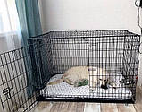 Вольєри та клітки для перенесення собак Металева клітка переноска для собак розмір XXL (122x76x83 см), фото 3