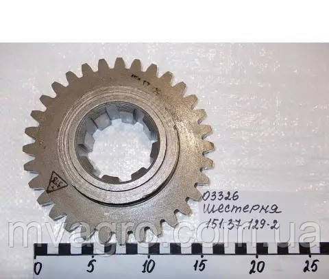 Шестерня 151.37.129-2 проміжна заднього ходу Z=32, фото 1
