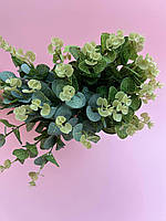 Зелене листя евкаліпту для створення букетів з мильних квітів