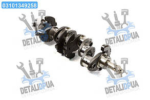 Вал коленчатый Д 245.5, 12С МТЗ-892, МТЗ-952, МТЗ-1025, ЗИЛ-130, 5301 под шлицы (пр-во ДК)