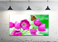 Картина на холсте на стену для интерьера/спальни/офиса DK Тюльпаны и бабочка (DKP4560-c365) 50х100 см