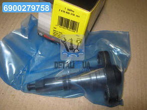 Плунжерная пара DAF 11,6 WS315/295/268 1991-2001 (вир-во Bosch) 2418455318