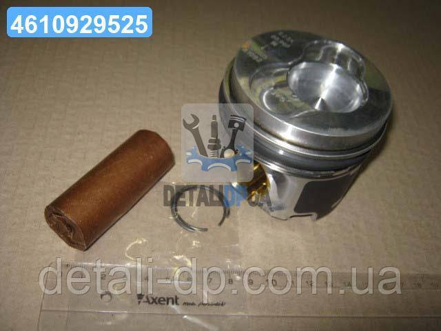 Поршень з кільцями VAG 81.01 AXD/AXE/BAC/BLJ/BLK (CYL 3-5) (вир-во KS) 41092600, фото 1