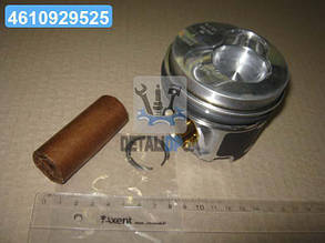 Поршень з кільцями VAG 81.01 AXD/AXE/BAC/BLJ/BLK (CYL 3-5) (вир-во KS) 41092600