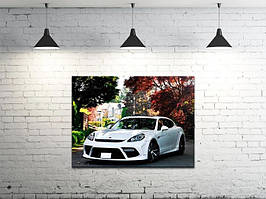 Картина на полотні на стіну для інтер`єру/спальні/прихожої DK Porsche Panamera (DKP4560-M807)