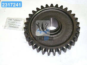 Шестерня проміжна задн. ходу МТЗ, Z=31 (ТМ JUBANA) 70-1701082 UA1
