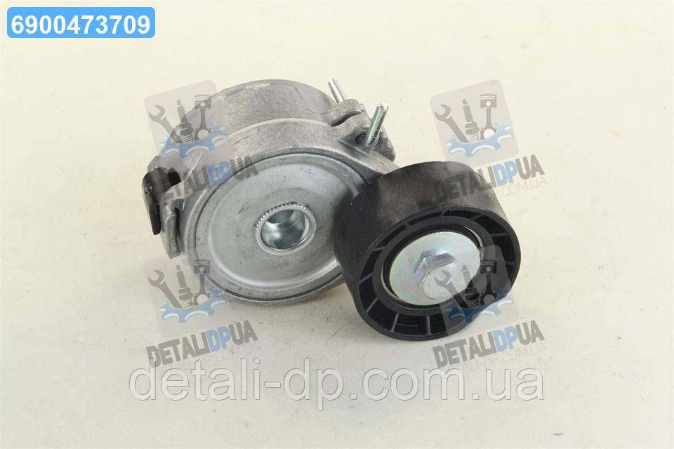 Ролик направляючий додатковий (Вир-во DAYCO) APV2556, фото 1