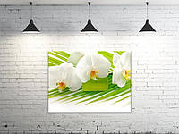 Картина на холсте на стену для интерьера/спальни/офиса DK Белые орхидеи (DKP4560-c927)