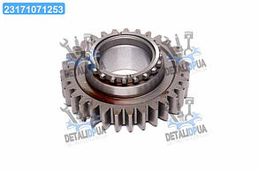 Шестерня валу первинного (Z=31) КПП МТЗ 1221, 1523 (RIDER) 1522С-1701054