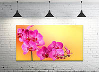 Картина на холсте на стену для интерьера/спальни/офиса DK Розовая орхидея 50х100 см (DKP50100-c23)