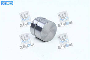 Гiдрокомпенсатор DAEWOO/CHEVROLET/OPEL Lanos/Aveo 1.6 16V/2.0 16V (вир-во Ina) 420 0059 10 UA1