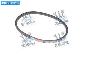 Ремінь 21х14х1303 (вир-во Rubena) 21х14-1303