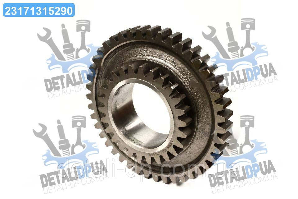 Шестерня проміжна КПП МТЗ (Z = 43/26) (RIDER) Ф50-1701056-Б UA1, фото 1