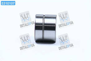 Гiдрокомпенсатор VAG EX 1,8 20V  (вир-во Ina) 420 0047 10 UA1