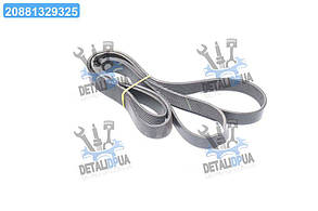 Ремінь приводу генератора CNH(Gates AGRI) 0285320 UA1