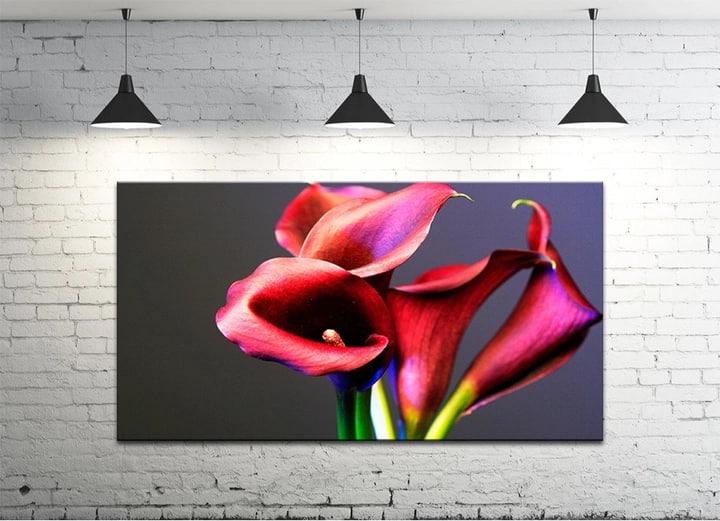 Картина на полотні на стіну для інтер`єру/спальні/прихожої DK Квіти кали 50х100 см (DKP50100-c198)