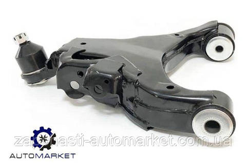 りょうすけ SUO GROUP